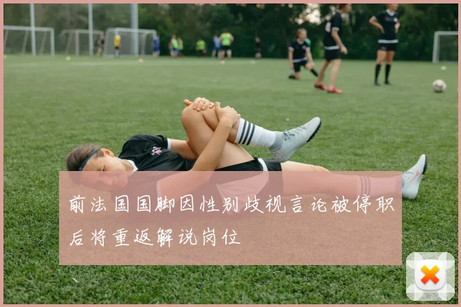 前法国国脚因性别歧视言论被停职后将重返解说岗位