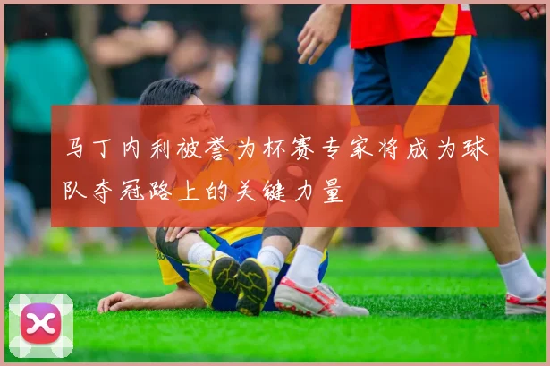 马丁内利被誉为杯赛专家将成为球队夺冠路上的关键力量